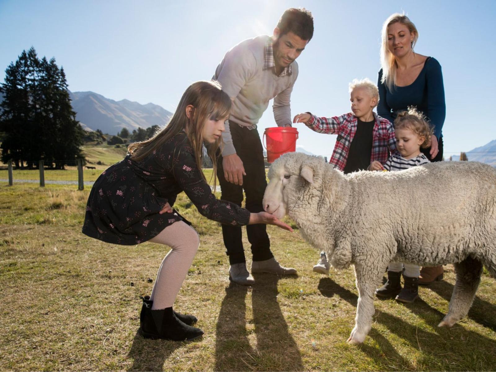 Famiglia felice nutre una pecora in un paesaggio montano soleggiato.