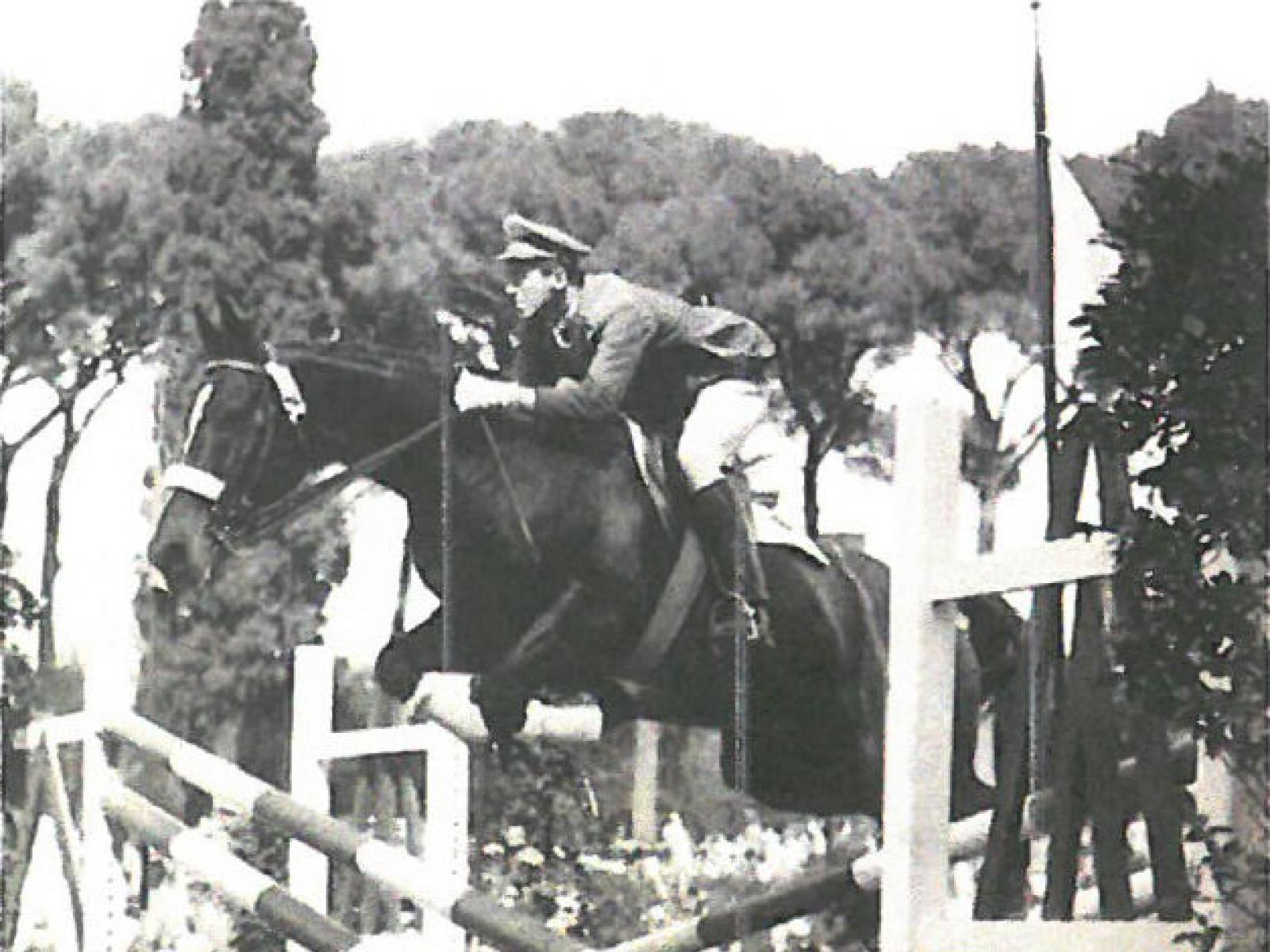 Cavaliere e cavallo in volo, superando un ostacolo con eleganza e forza.
