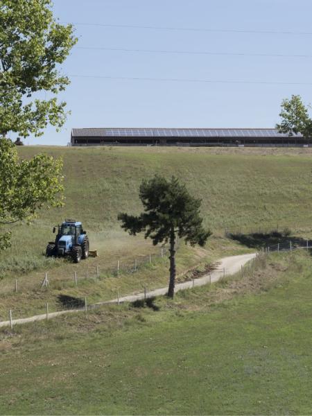 Tranquilla campagna con trattore blu, colline verdi e casali rustici.