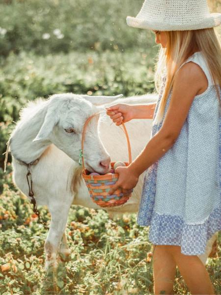 Bambina in un prato, nutre una capra con dolcezza e gioia.